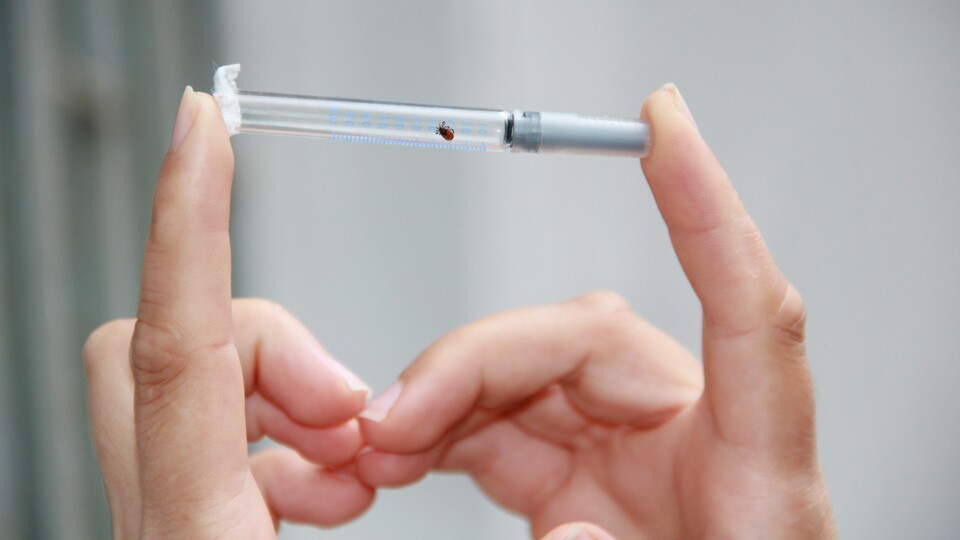 Havalar ısındı! KKKA hastalığı riski artıyor