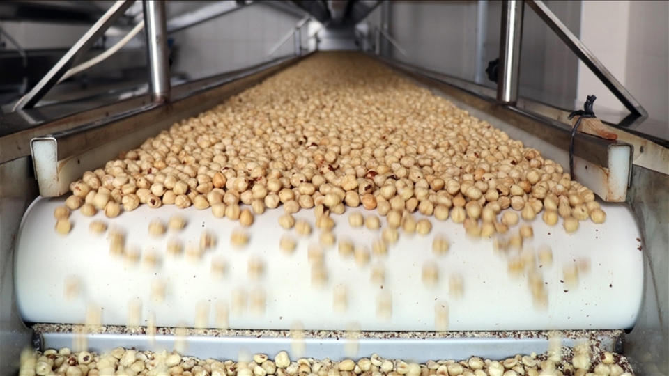 Tarım, gıda ve içecek sektöründen ilk çeyrekte 7,1 milyar dolar ihracat