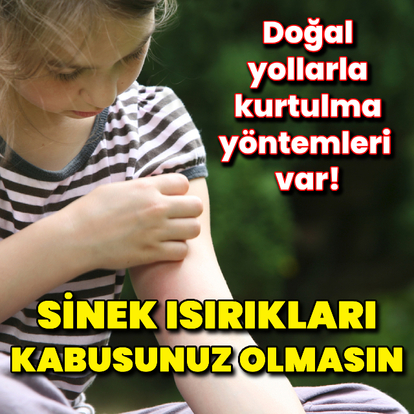 Sinek ısırıklarından doğal yollarla kurtulma yöntemleri