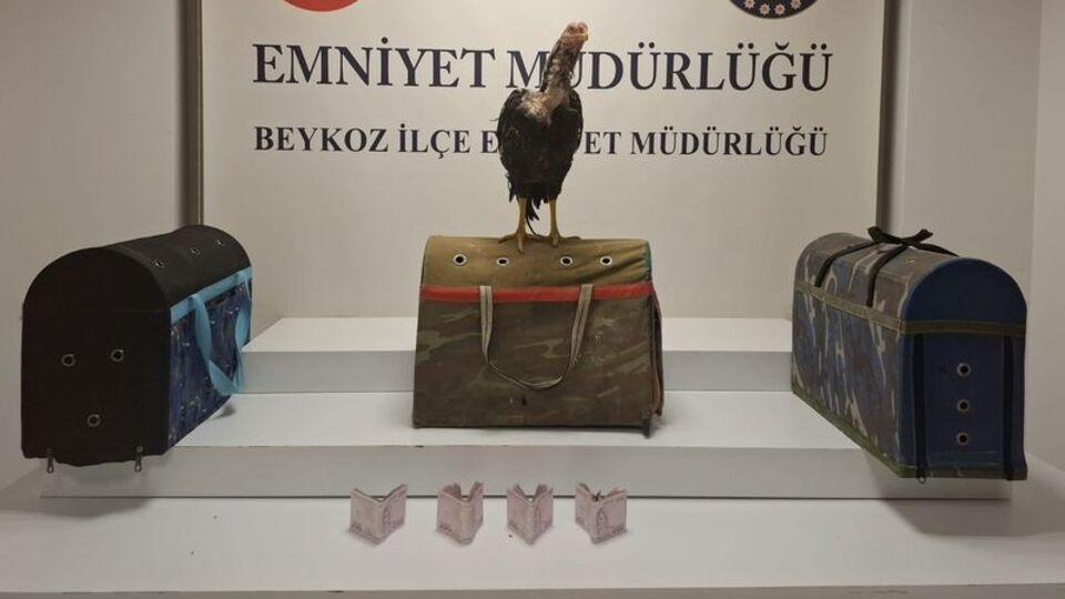 Metruk binaya 'Horoz' operasyonu!