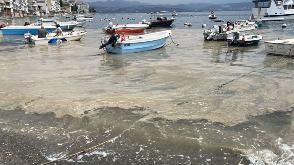 Bursa kıyılarında müsilaj görüldü