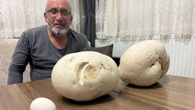 Doğasever yürüyüş sırasında buldu