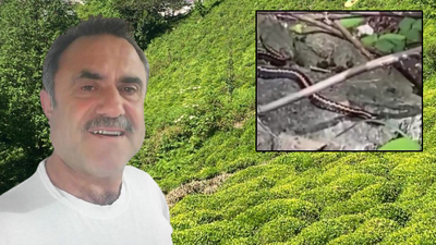 Kafkas engereği ısırdı, yoğun bakımda