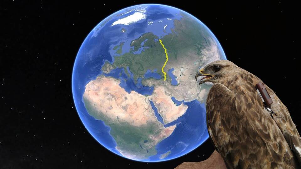 Iğdır'dan Rusya'ya göç! 148 km'ye ulaştı