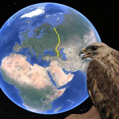 Iğdır'dan Rusya'ya göç! 148 km'ye ulaştı