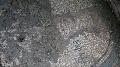 Zile'de kaçak kazıda ortaya çıkarılmıştı...