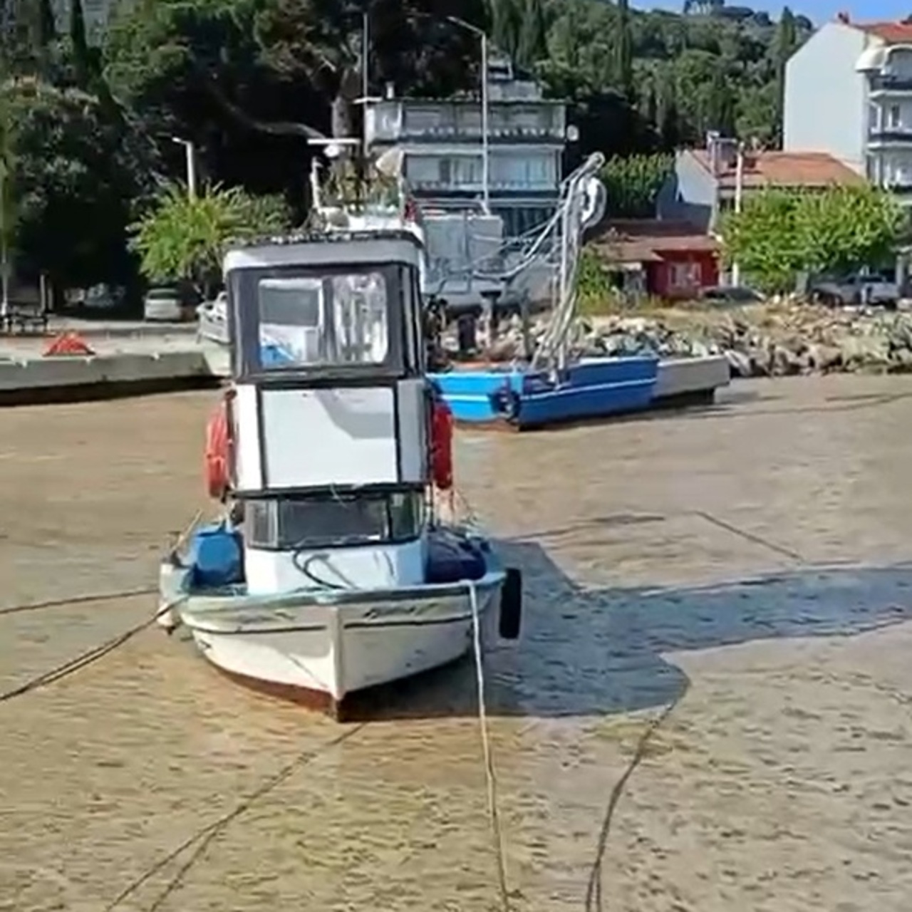 Müsilaj yeniden Marmara'da!
