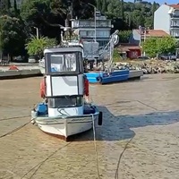 Müsilaj yeniden Marmara'da!