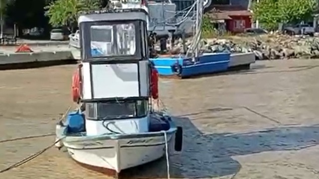 Müsilaj yeniden Marmara'da!