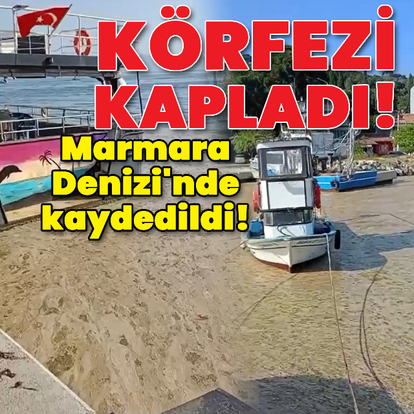 Müsilaj yeniden Marmara'da!
