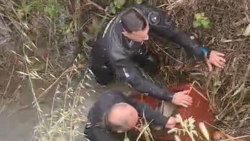 Yaşlı adamın altın dolu kasası çalındı! Hırsızların kimliği şaşırttı