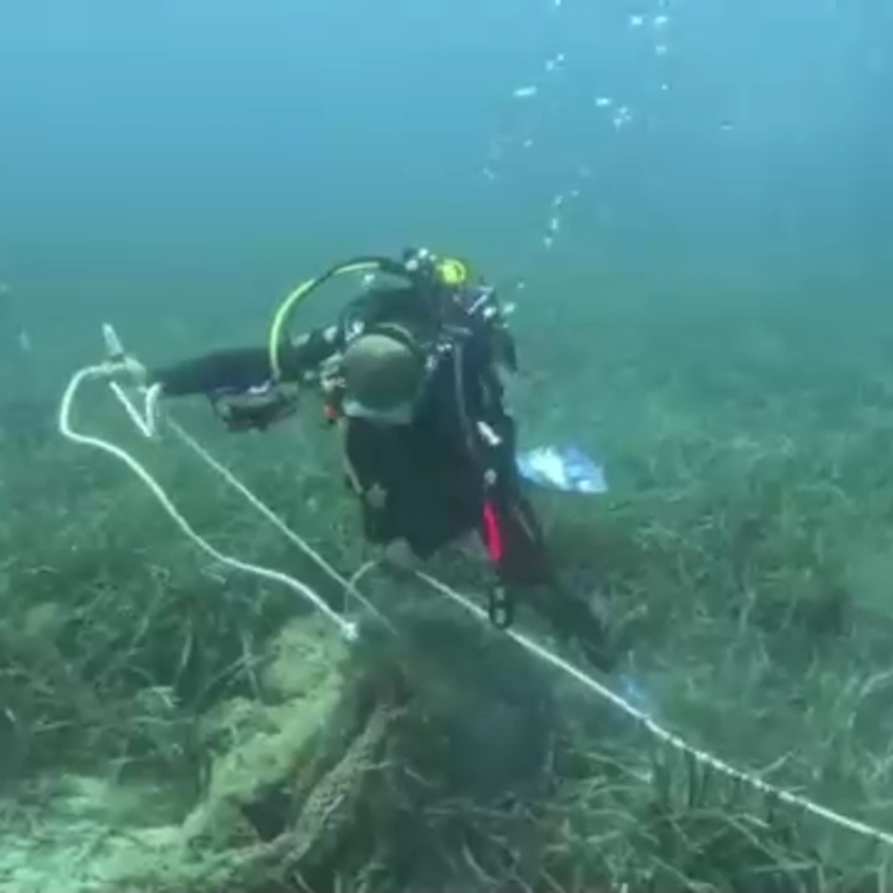 Karaburun'dan 1.5 ton hayalet ağ çıkarıldı
