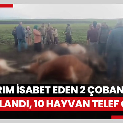 Yıldırım isabet eden 2 çoban yaralandı, 10 büyükbaş hayvan telef oldu