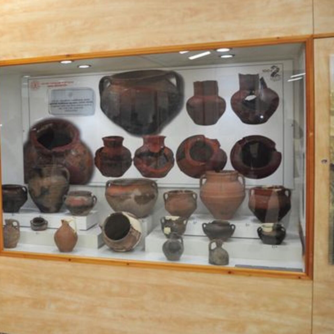 Kars’ta 196 eser ilk kez görücüye çıktı