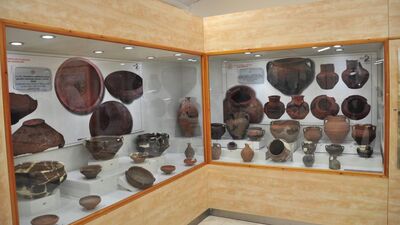 Kars'ta 196 eser ilk kez görücüye çıktı