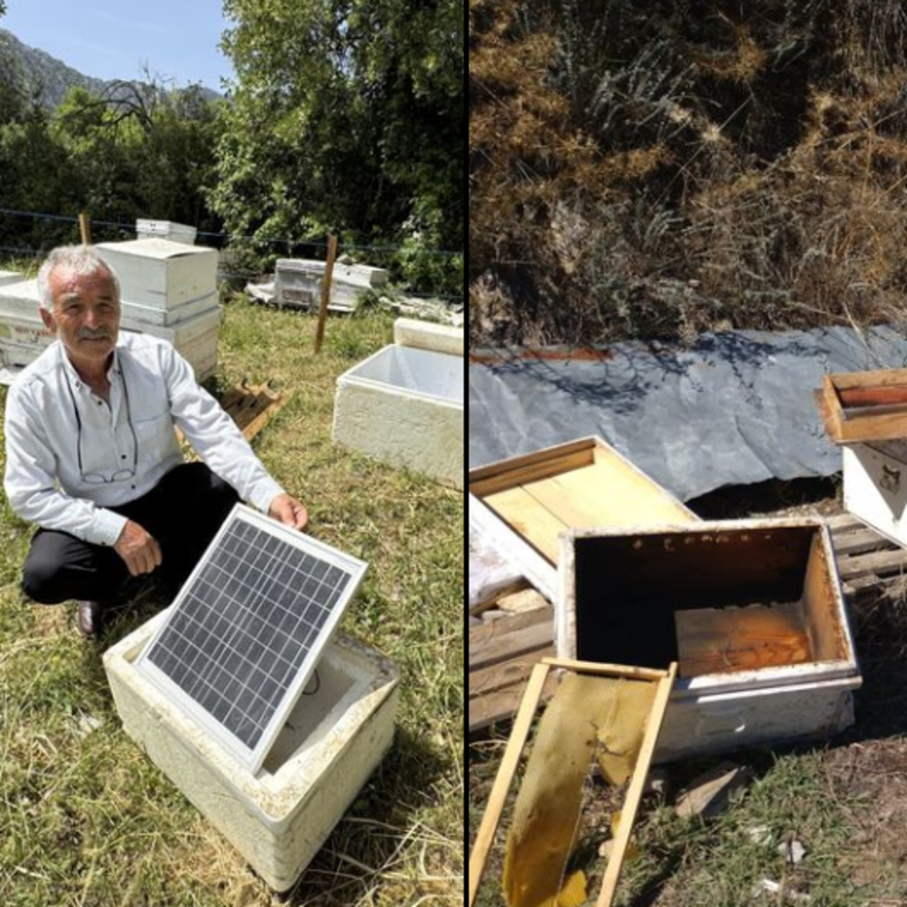 Arıcılardan elektrik telli önlem