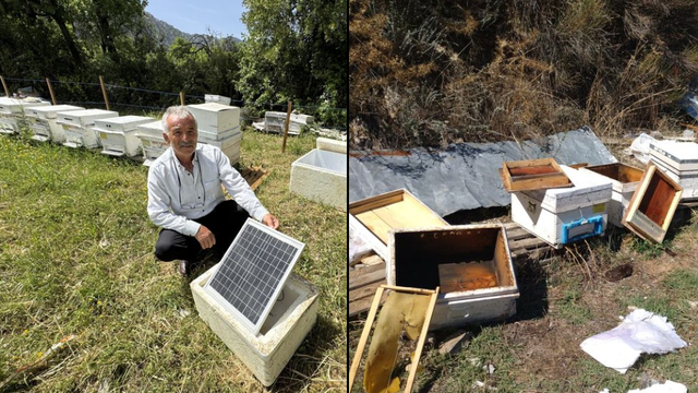 Arıcılardan elektrik telli önlem