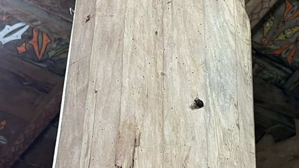 8 asırlık ahşap camiyi kokarca bastı