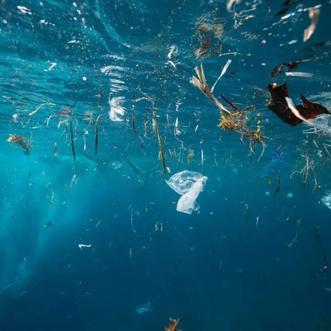 7 gölde araştırma: Yoğun mikroplastik