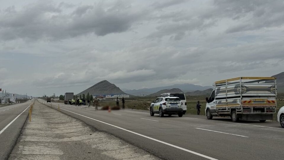 Ağır yaralanan 3 büyükbaş, telef olmaması için kesildi