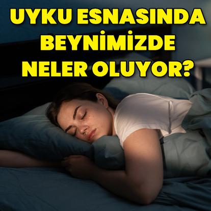 Uyku esnasında beynimizde neler oluyor?