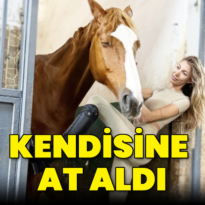 Kendisine at aldı