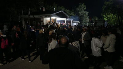 Barınakta köpeklerin öldürüldüğü iddiasına yanıt