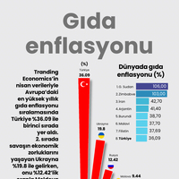 Gıda enflasyonu