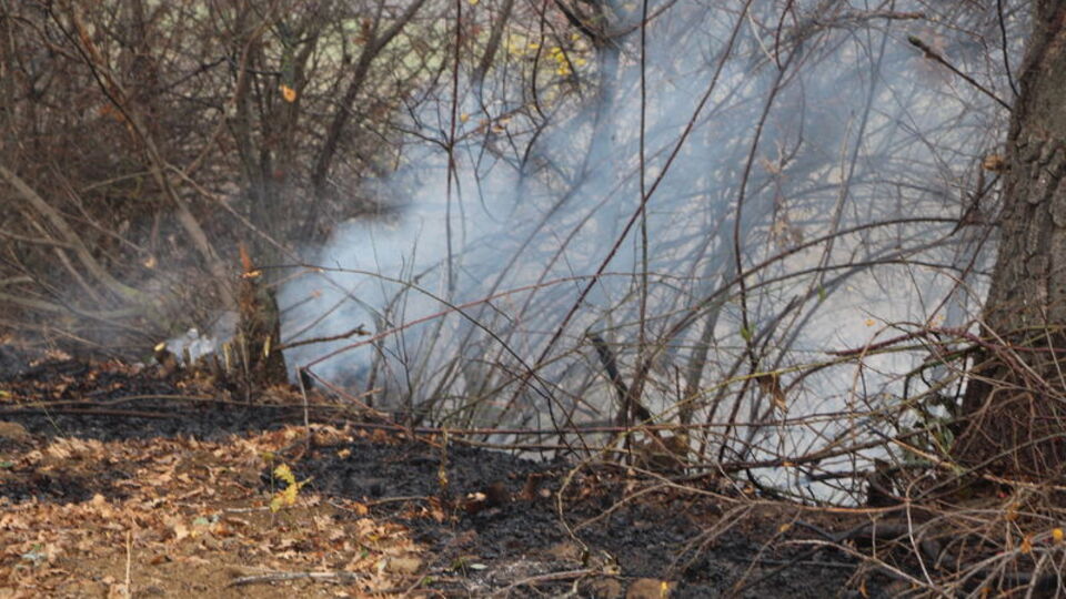 Bilecik'te 5 aylık orman yasağı