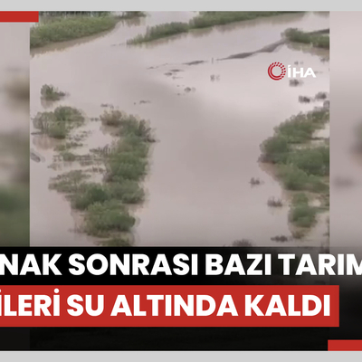 Erzincan’da sağanak sonrası bazı tarım arazileri su altında kaldı