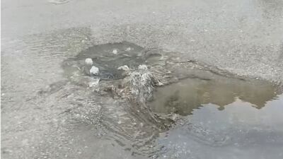 Çınarcık Belediyesi'ne 1.3 milyon lira ceza