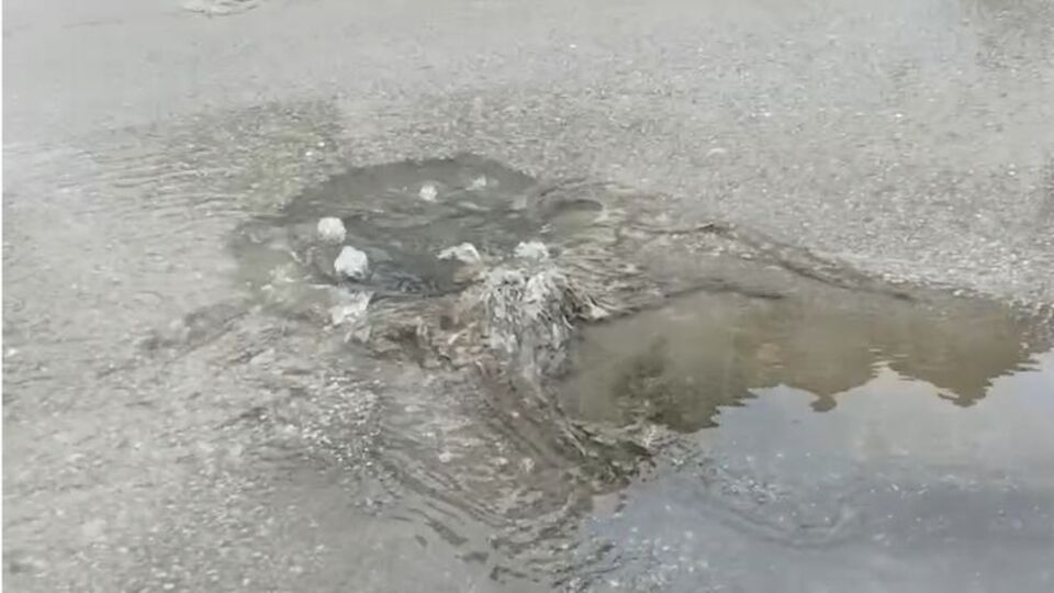 Çınarcık Belediyesi'ne 1.3 milyon lira ceza