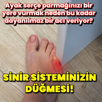 Sinir sisteminizin alarm düğmesi!