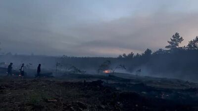 Denizli'de çıkan orman yangını söndürüldü