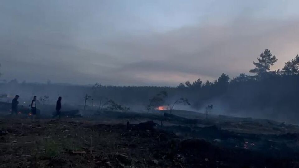 Denizli'de çıkan orman yangını söndürüldü