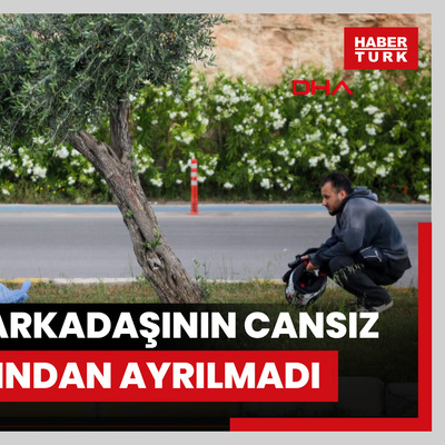 Kazada ölen arkadaşının cansız bedeninin başından ayrılmadı