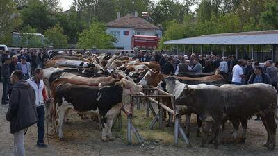 Banaz'da hayvan pazarı yeniden açıldı