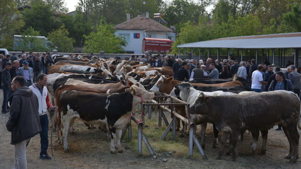 Banaz'da hayvan pazarı yeniden açıldı