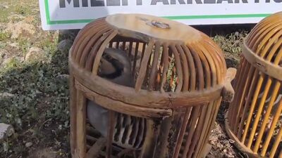 Siirt'te keklik avına 63 bin lira ceza