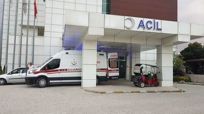 4 yaşındaki Ardıç yaşamını yitirdi!