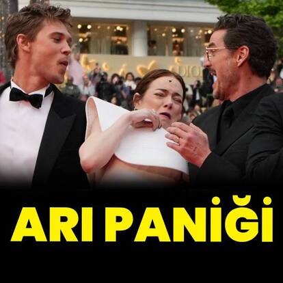 Arı paniği