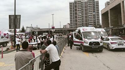 Festivalde Pitbull saldırdı!