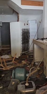 Ayılar bu kez belediye başkanının evine girdi