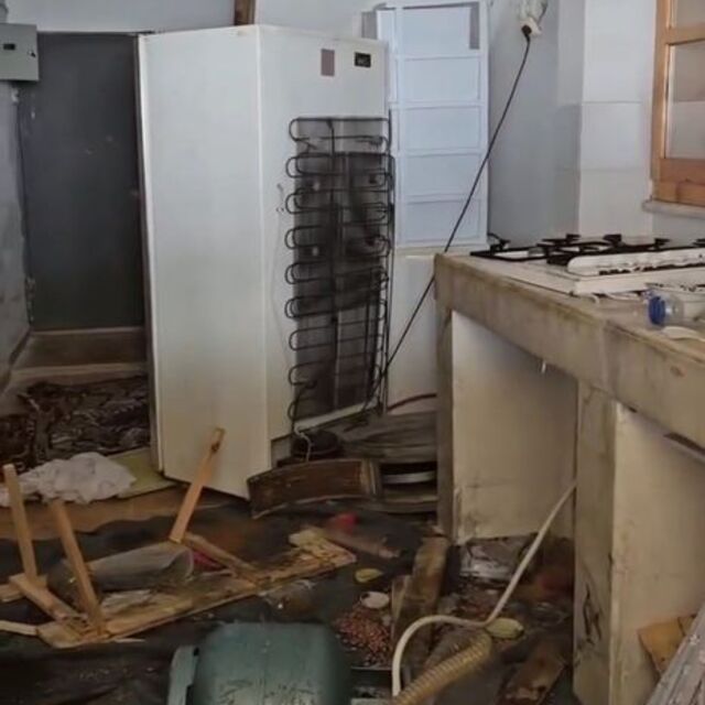 Ayılar bu kez belediye başkanının evine girdi