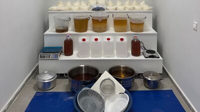 Yalova'da uyuşturucu operasyonu: 6 tutuklama