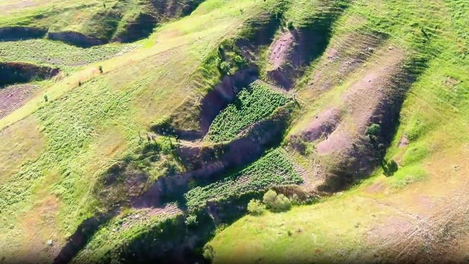 Yerlikaya duyurdu! Diyarbakır'da dev operasyon