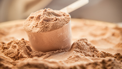 Protein tozu kilo aldırır mı?