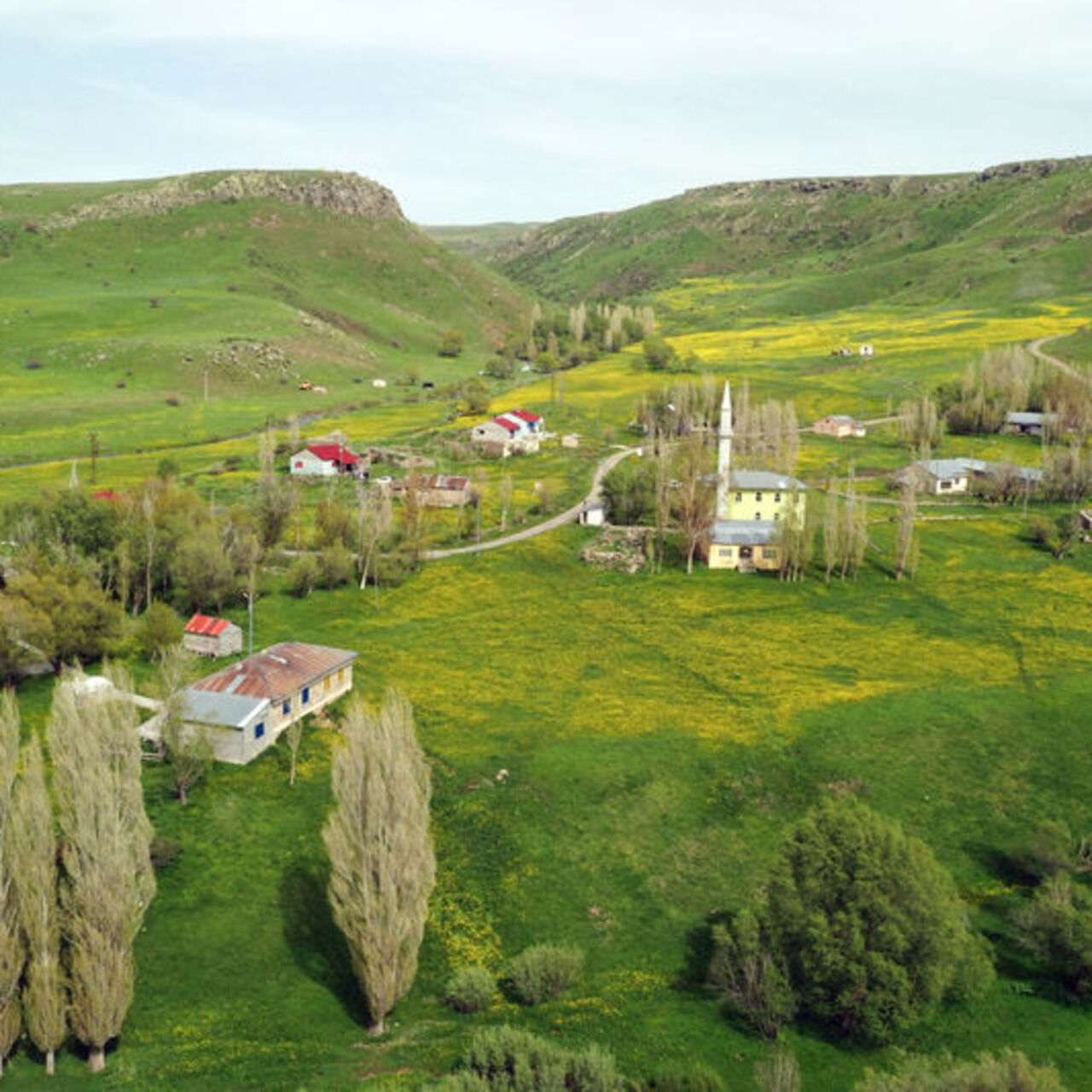 Ağrı baharın gelişiyle rengarenk...