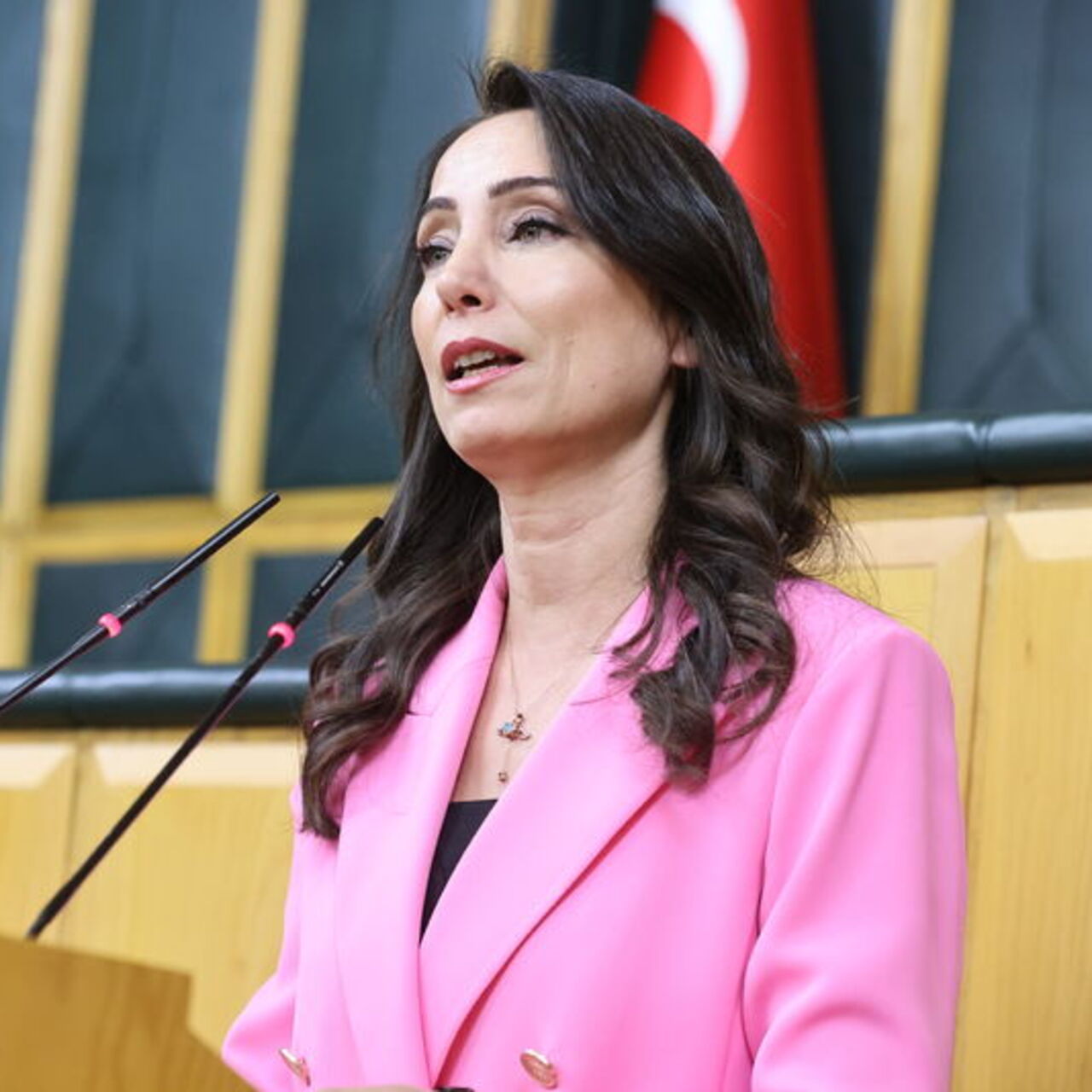 "Yeni sürecin çözüm adresi Meclis'tir"