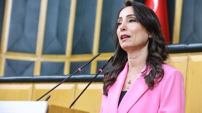 "Yeni sürecin çözüm adresi Meclis'tir"